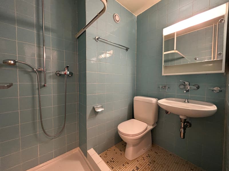 Appartement de 1 pièce, 5ème étage, env. 21 m2 (3)
