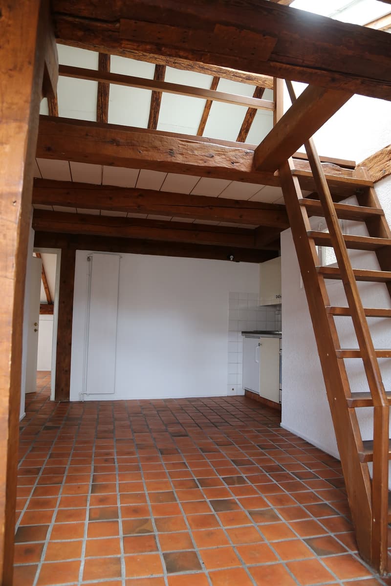 Bel appartement de 2.5 pièces, 6ème étage, env. 55 m2 (6)
