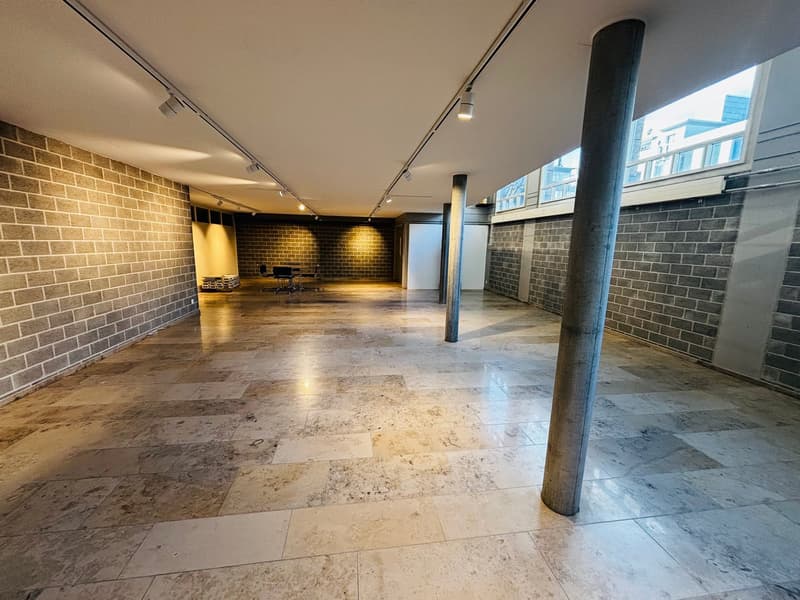 Espace commercial attractif – spacieux et polyvalent (10)
