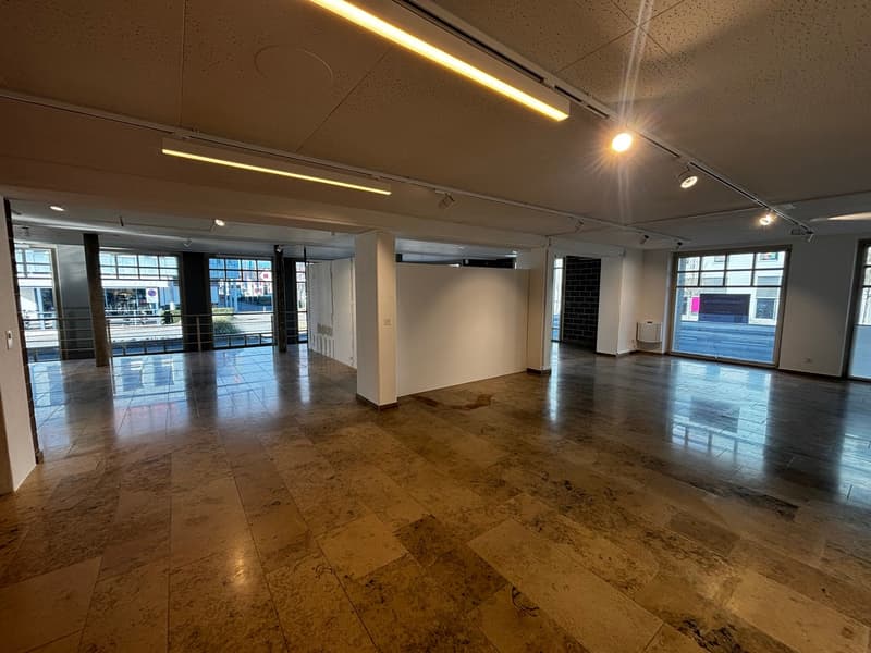 Espace commercial attractif – spacieux et polyvalent (12)