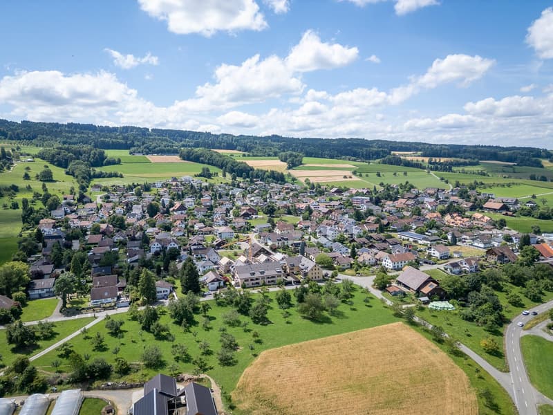 Aerial view of a village with many houses, green fields, and trees. The houses are of different sizes and styles, some with solar panels on the roofs. The village is surrounded by green fields and trees, with a road leading to it. In the distance, there a