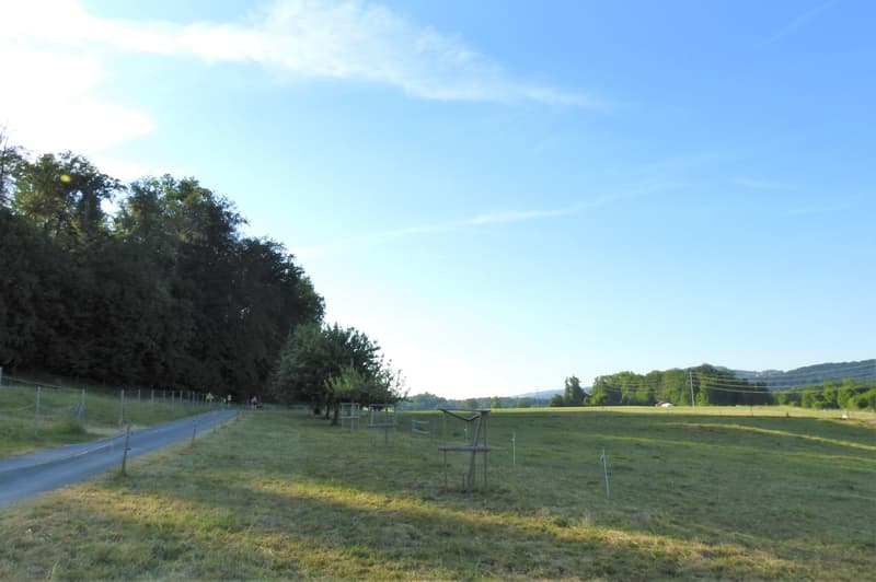 Natur vor der Haustüre