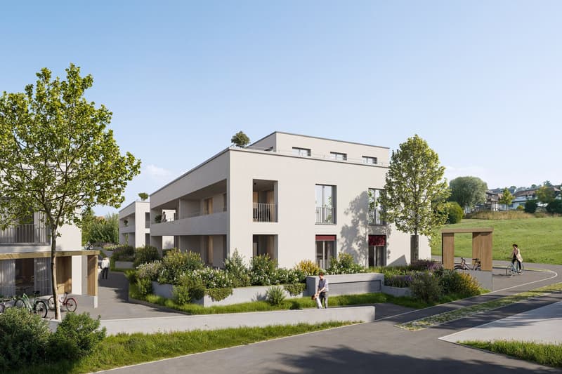 Blick auf das Mehrfamilienhaus «Birke»