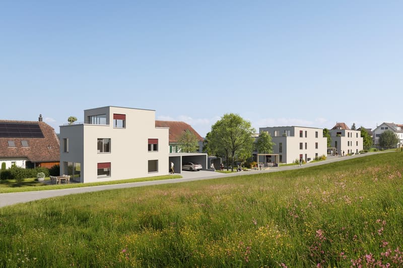 Blick auf das EFH «Esche» und die beiden MFH «Birke» und «Arve»