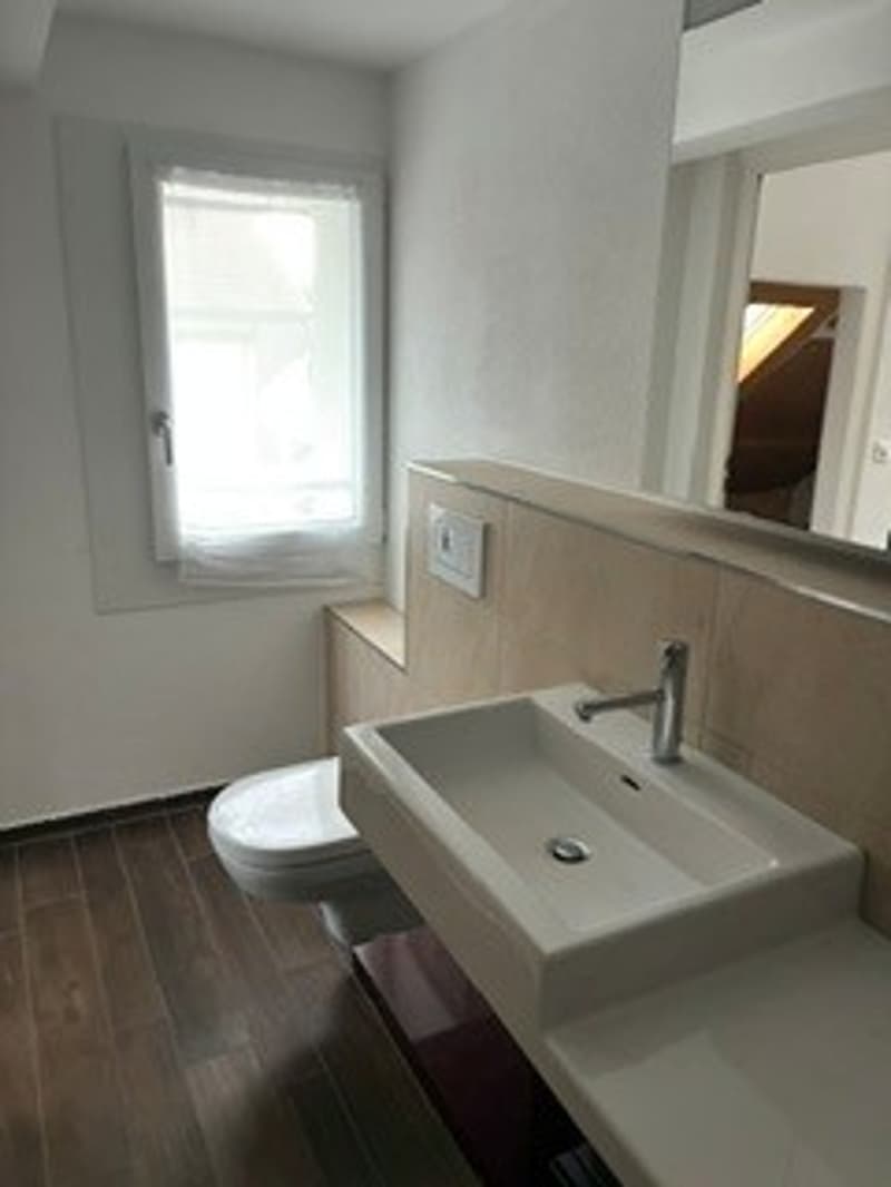 Charmanter Hausteil (15)