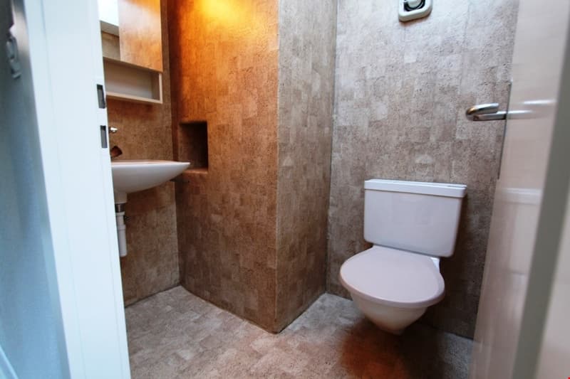 small bathroom with toilet, sink, and shower