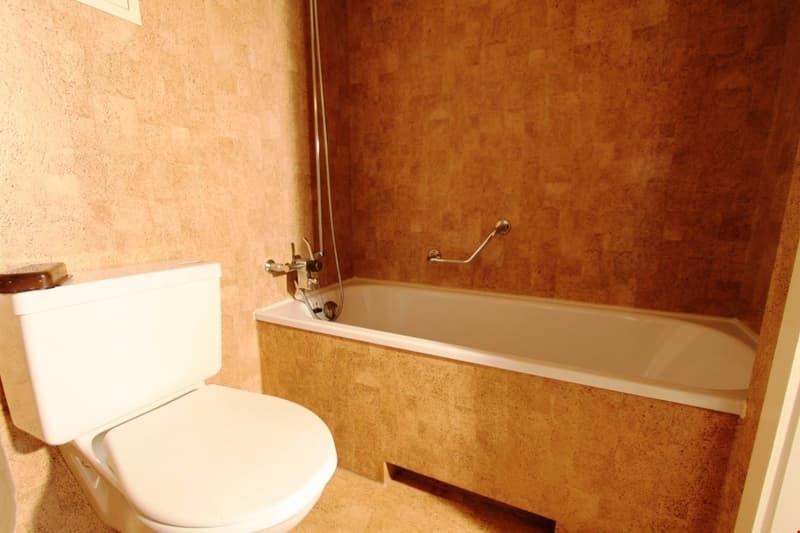 Bathroom with a white toilet, bathtub, and brown walls