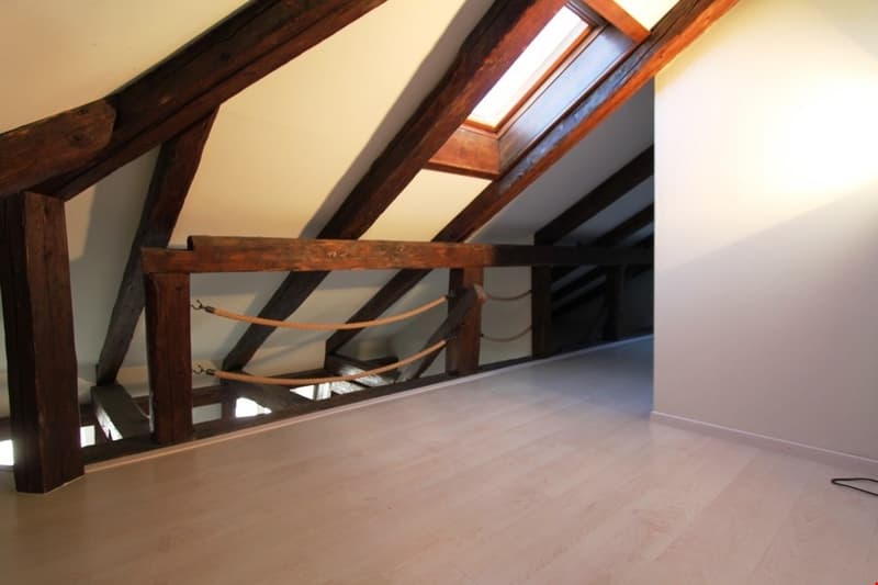 wooden beams, wooden floor, skylight, rope railing