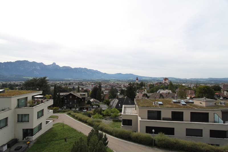 Exklusive Attikawohnung über den Dächern von Thun (11)