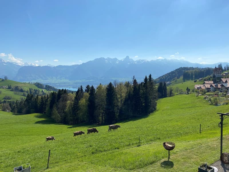 Exklusive Wohnung mit traumhafter Aussicht (9)
