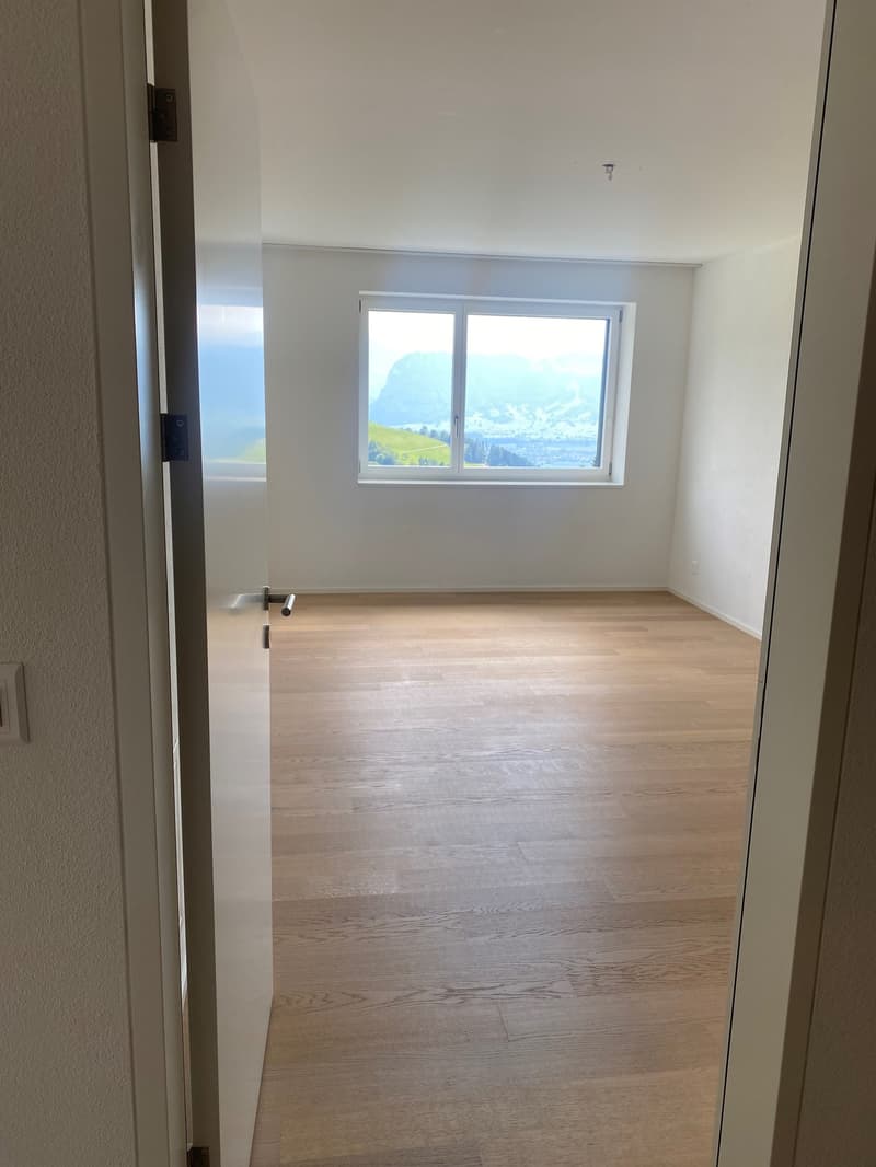 Exklusive Wohnung mit traumhafter Aussicht (7)