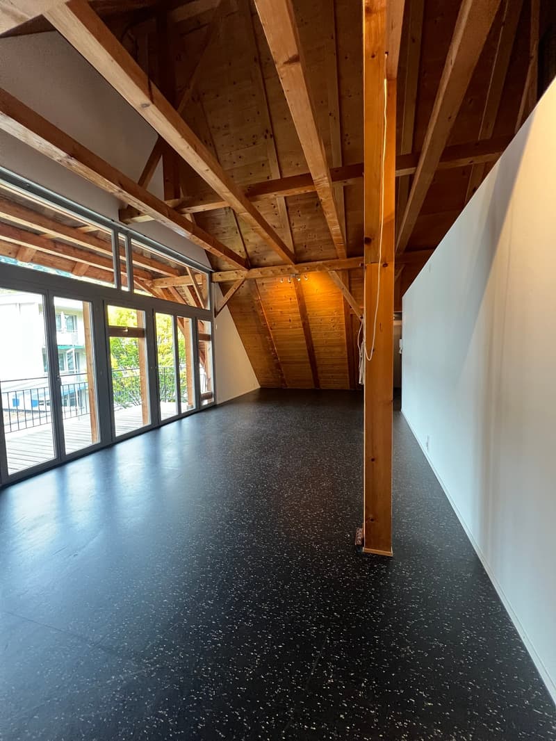 Die perfekte Maisonette-Stadtwohnung in Thun (3)
