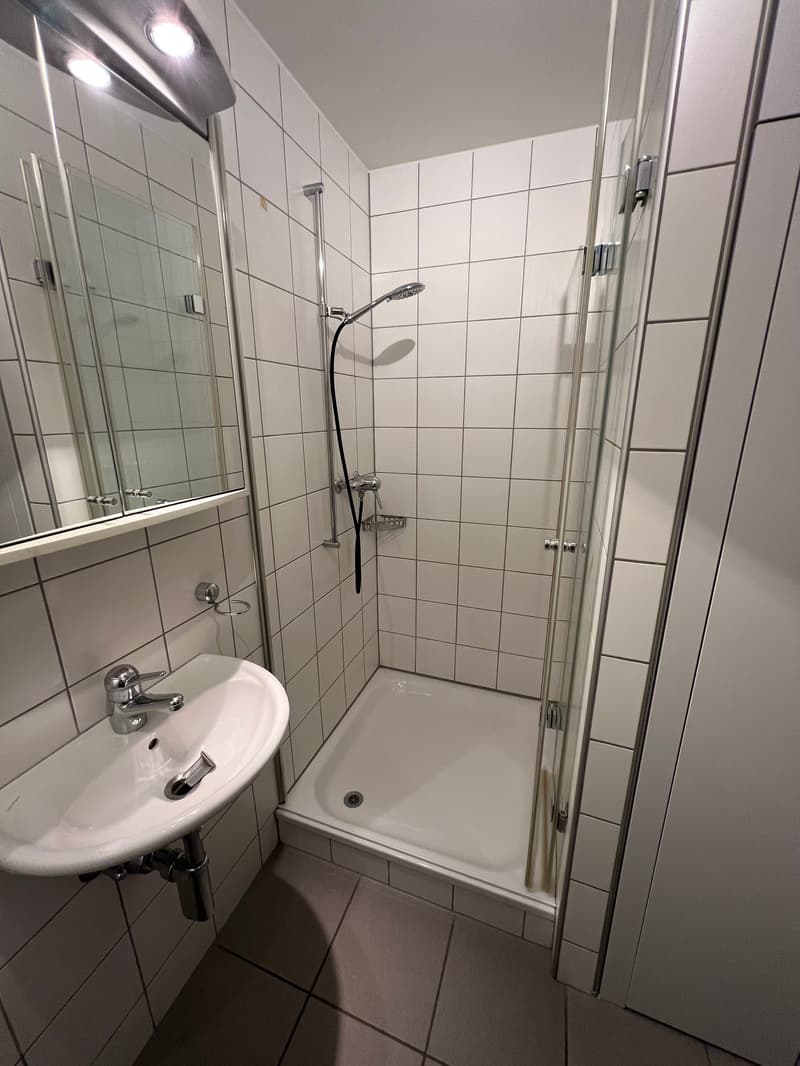 Die perfekte Maisonette-Stadtwohnung in Thun (8)