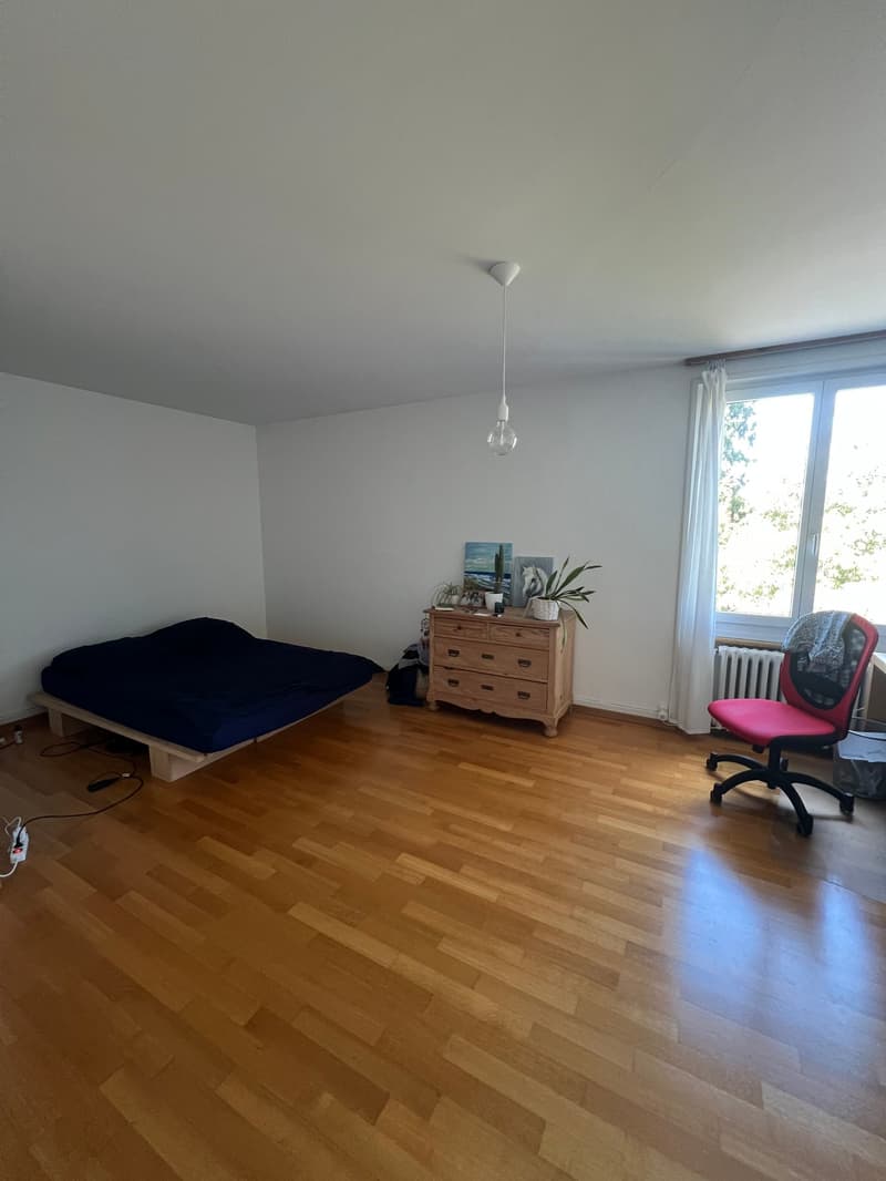 Moderne 2-Zimmerwohnung mit Blick ins Grüne (4)