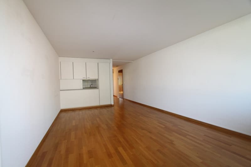Helle 2-Zimmerwohnung mit grossem Balkon (6)