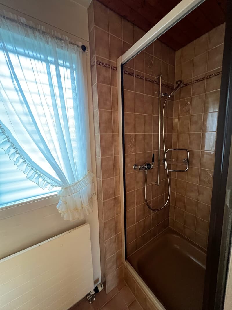 Attraktive 4.5-Zimmer-Maisonettewohnung zu vermieten (15)