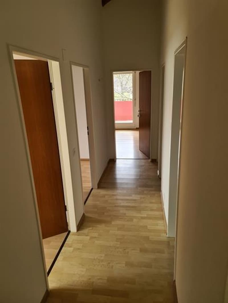 The image shows a hallway with hardwood floors, white walls, and several doors leading to other rooms. The hallway appears to be well-lit with natural light coming in from a window or door at the end.