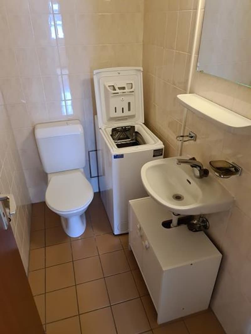 Bathroom with toilet, sink, and washing machine