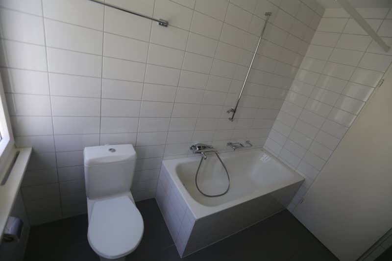 "Im Haus der weissen Taube" beim Dorfzentrum (5)