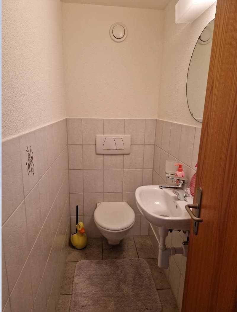 Nähe  Erholungsgebiet "Lange Erle" und Zentrum Riehen (6)