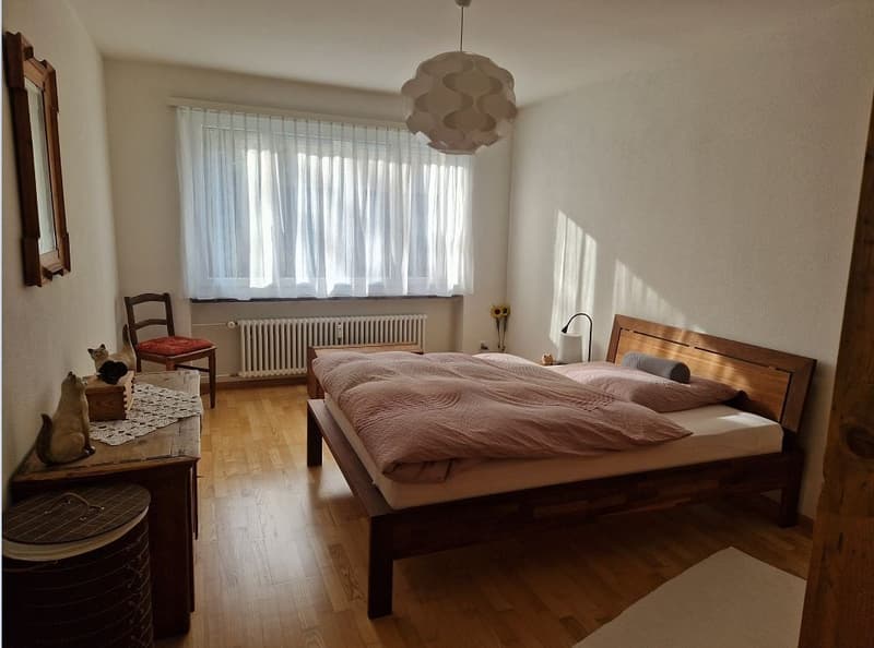 Nähe  Erholungsgebiet "Lange Erle" und Zentrum Riehen (3)