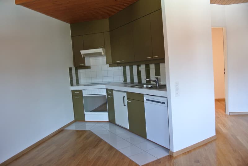 Maisonette-Dachwohnung bei Birs mit Sicht zum Rhein (4)