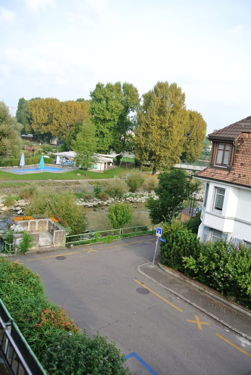Maisonette-Dachwohnung bei Birs mit Sicht zum Rhein (9)