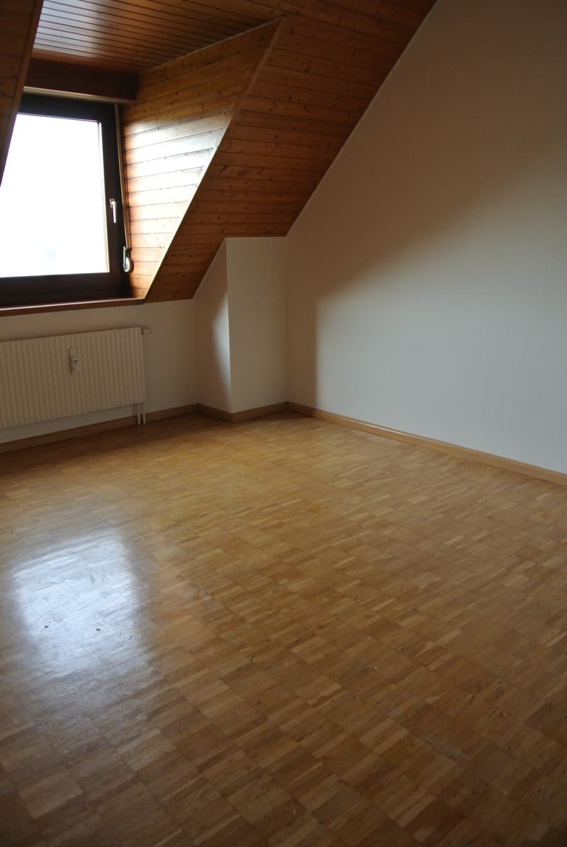 Maisonette-Dachwohnung bei Birs mit Sicht zum Rhein (6)