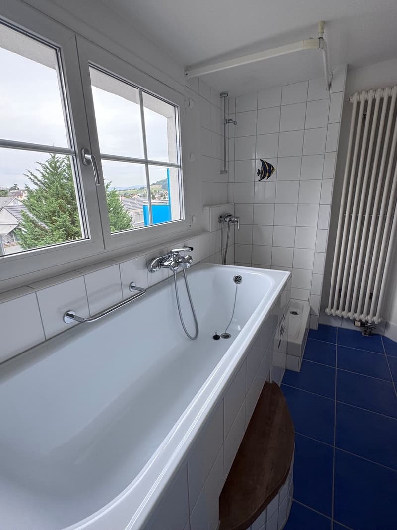 Charmante Dachwohnung im Grünen und beim Naherholungsgebiet (9)