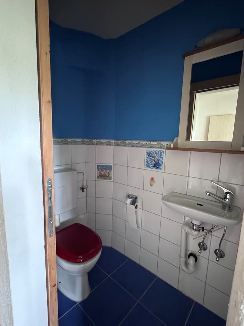 Charmante Dachwohnung im Grünen und beim Naherholungsgebiet (10)