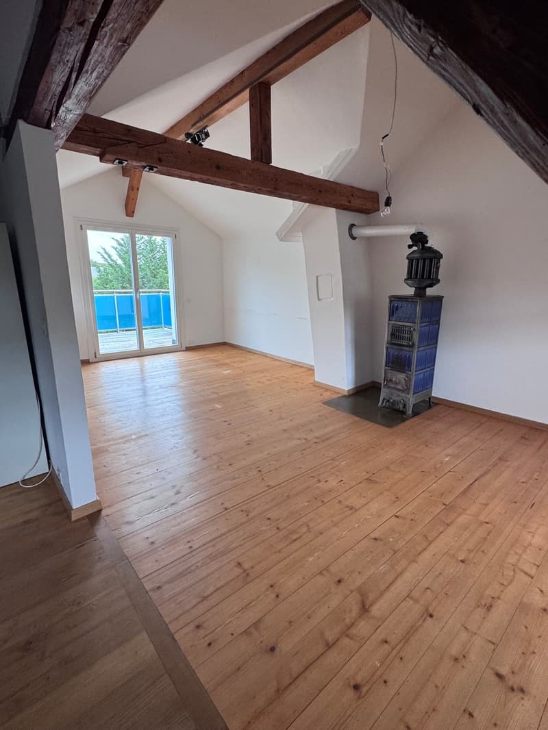 Charmante Dachwohnung im Grünen und beim Naherholungsgebiet (11)