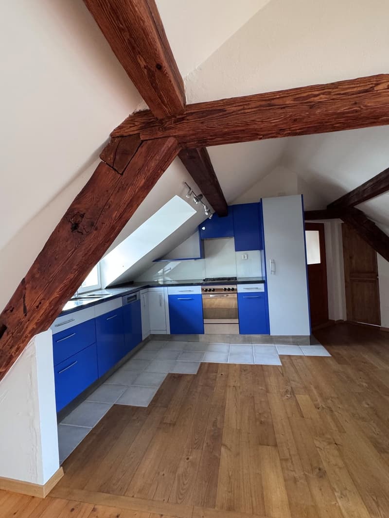 Charmante Dachwohnung im Grünen und beim Naherholungsgebiet (6)