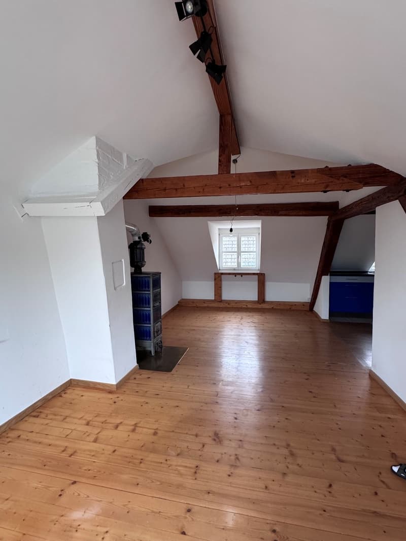 Charmante Dachwohnung im Grünen und beim Naherholungsgebiet (12)