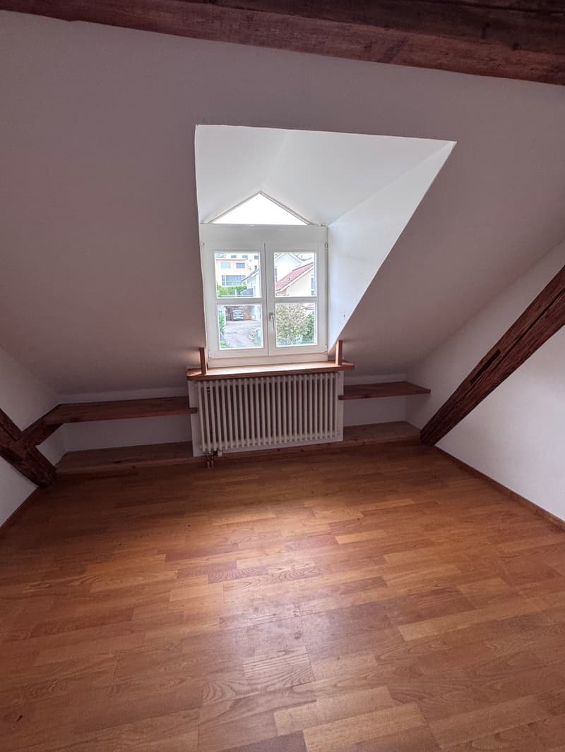 Charmante Dachwohnung im Grünen und beim Naherholungsgebiet (15)