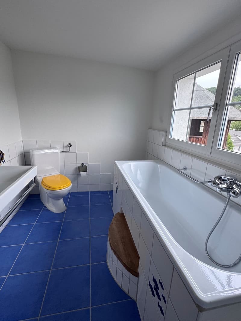 Charmante Dachwohnung im Grünen und beim Naherholungsgebiet (8)