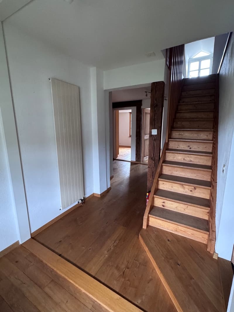 Charmante Dachwohnung im Grünen und beim Naherholungsgebiet (4)