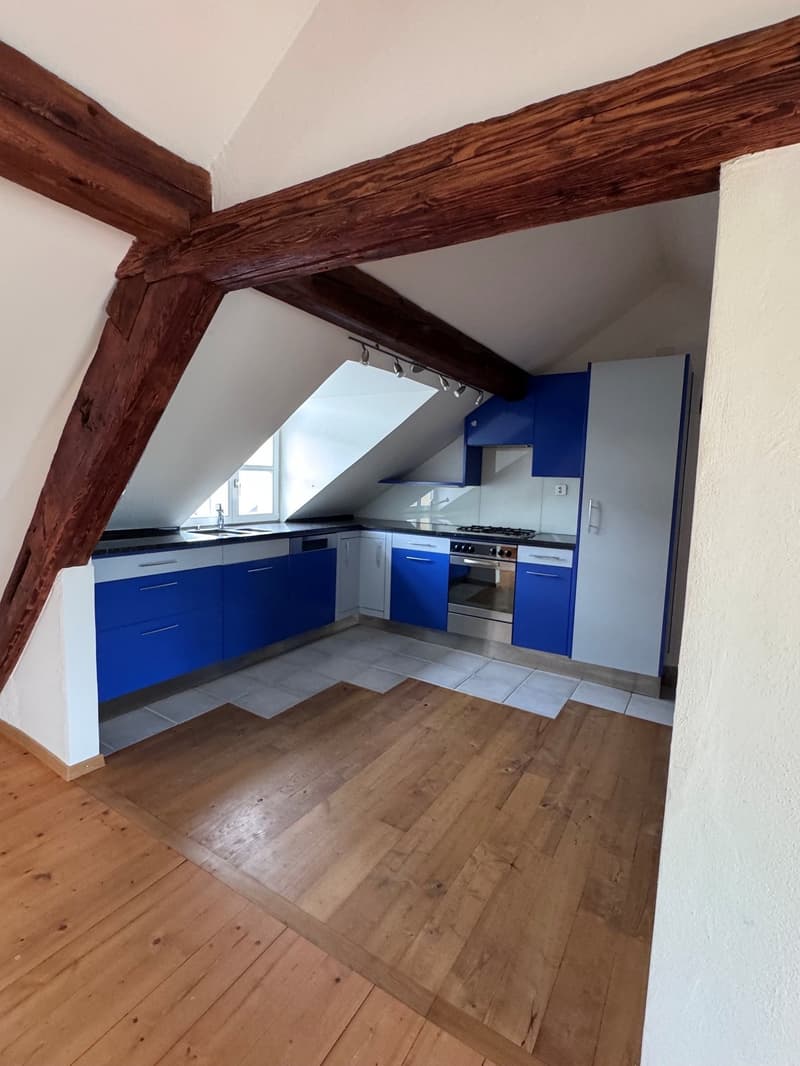 Charmante Dachwohnung im Grünen und beim Naherholungsgebiet (5)