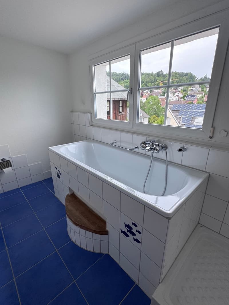 Charmante Dachwohnung im Grünen und beim Naherholungsgebiet (7)