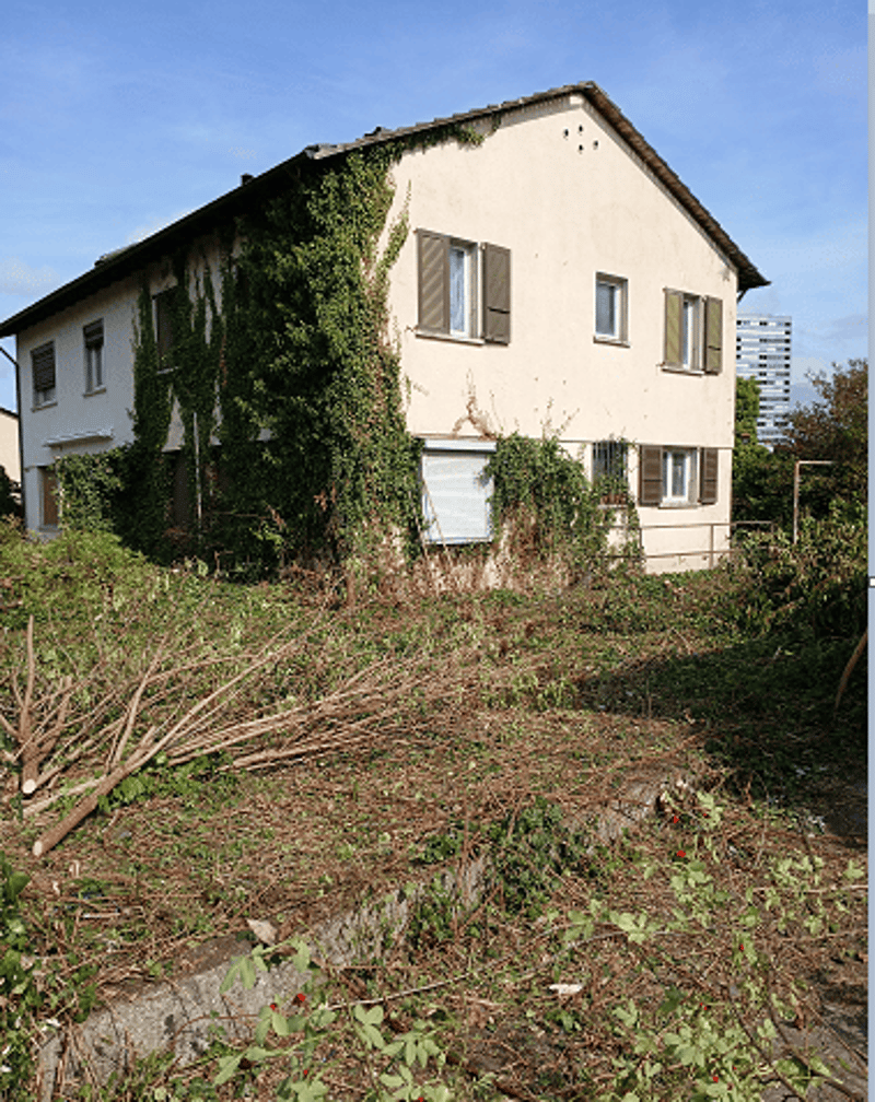 Bauland in Pratteln (1)
