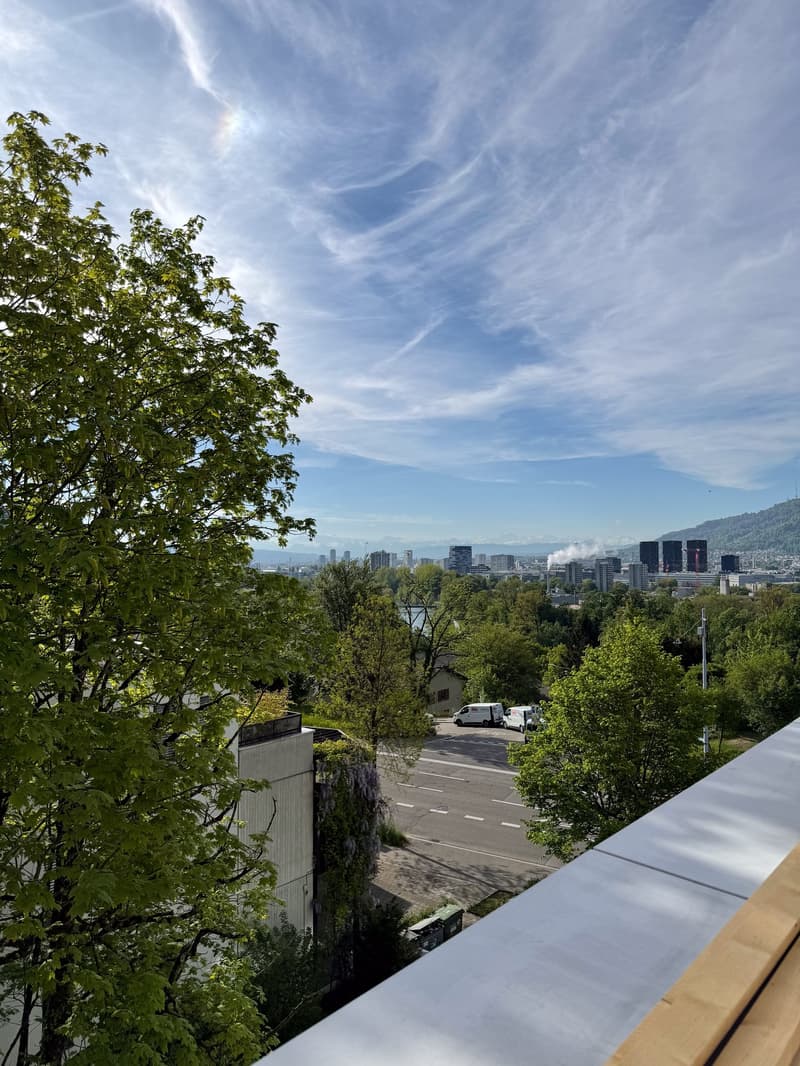 Wohnen mit Stil und Ausblick – 3.5-Zimmerwohnung an beliebter Lage in Zürich (8)