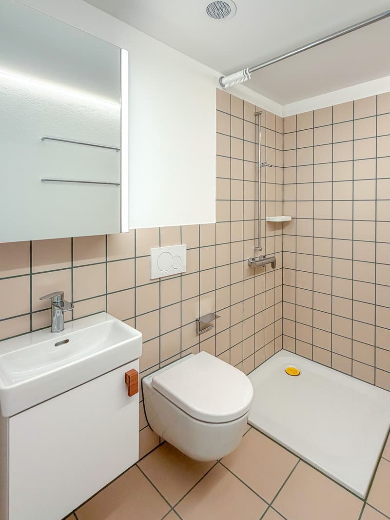 Wohnen mit Stil und Ausblick – 4.5-Zimmerwohnung an beliebter Lage in Zürich (9)