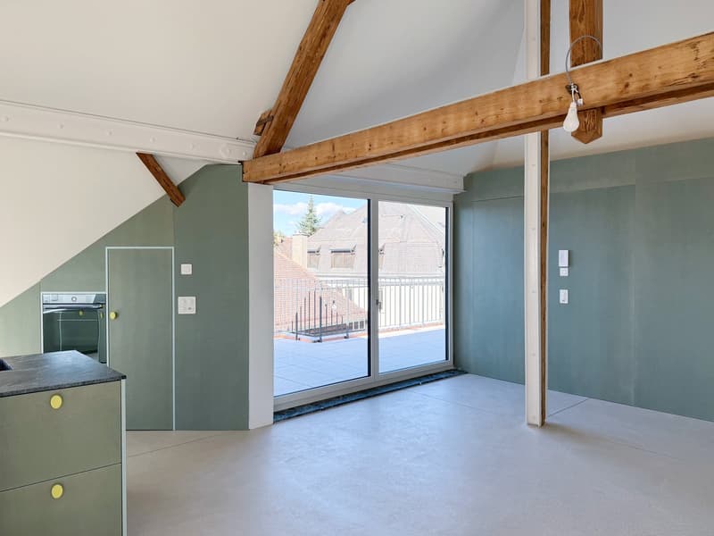 Exklusive Loftwohnung mit 20m2 Dachterrasse nähe Schaffhauserplatz (4)