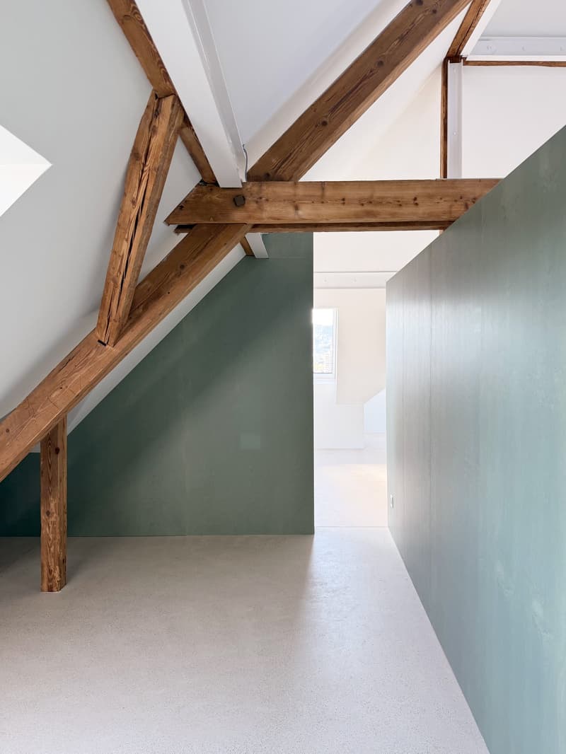 Exklusive Loftwohnung mit 20m2 Dachterrasse nähe Schaffhauserplatz (12)