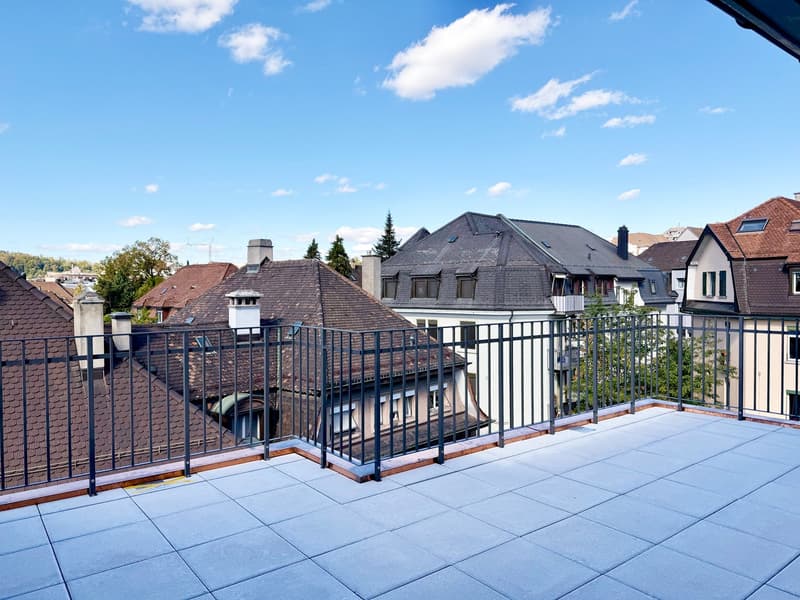 Exklusive Loftwohnung mit 20m2 Dachterrasse nähe Schaffhauserplatz (5)