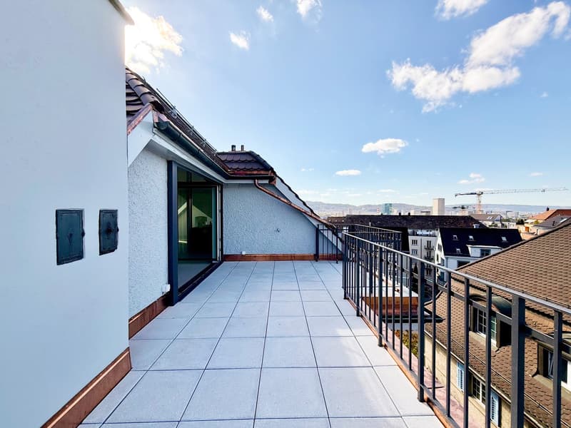 Exklusive Loftwohnung mit 20m2 Dachterrasse nähe Schaffhauserplatz (6)