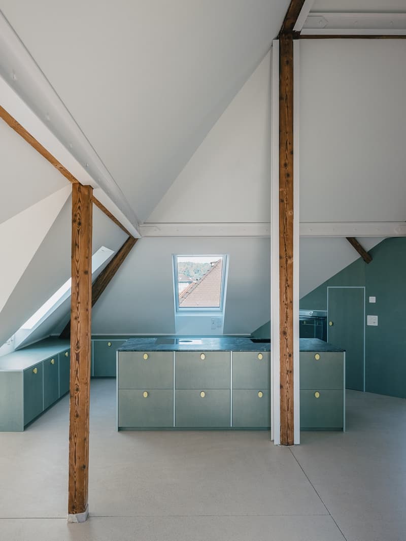 Exklusive Loftwohnung mit 20m2 Dachterrasse nähe Schaffhauserplatz (3)