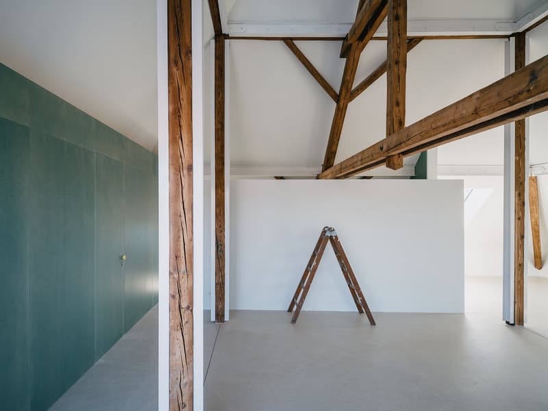 Exklusive Loftwohnung mit 20m2 Dachterrasse nähe Schaffhauserplatz (8)