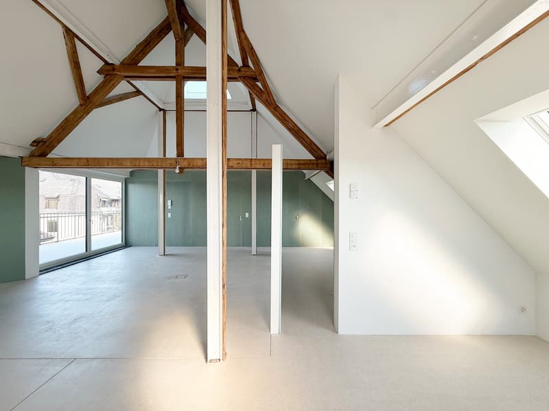 Exklusive Loftwohnung mit 20m2 Dachterrasse nähe Schaffhauserplatz (13)