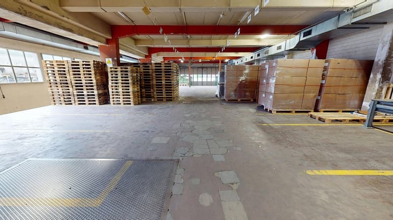 Vielseitige Lagerflächen in Zofingen (8)