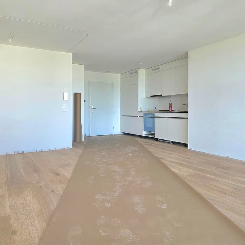 First rental: charming 1.5-room apartment with well-thought-out floor plan and cozy loggia (2)